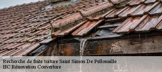 Recherche de fuite toiture saint-simon-de-pellouaille-17260 HC Rénovation Couverture-4