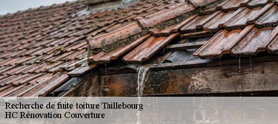 Recherche de fuite toiture  taillebourg-17350 HC Rénovation Couverture-4