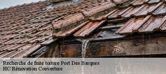 Recherche de fuite toiture port-des-barques-17730 HC Rénovation Couverture-4