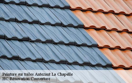 Peinture sur tuiles antezant-la-chapelle-17400 HC Rénovation Couverture-1