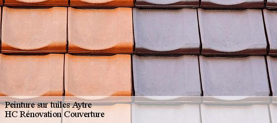 Peinture sur tuiles aytre-17440 HC Rénovation Couverture-4