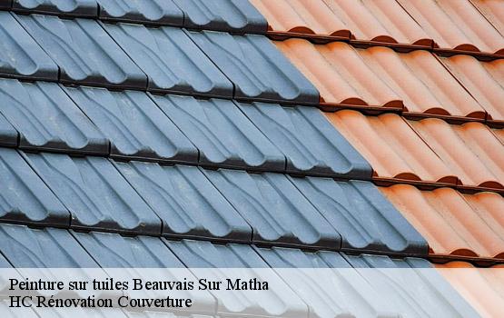 Peinture sur tuiles beauvais-sur-matha-17490 HC Rénovation Couverture-1