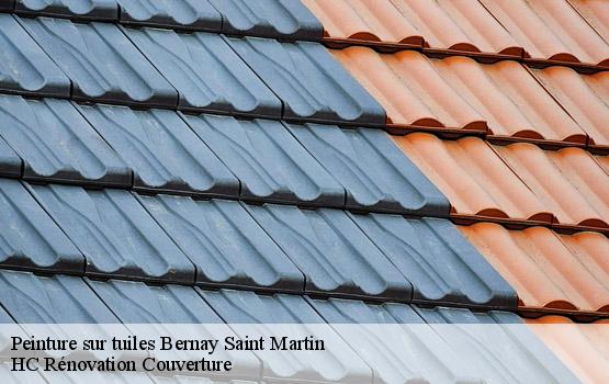 Peinture sur tuiles bernay-saint-martin-17330 HC Rénovation Couverture-1