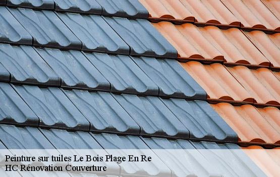 Peinture sur tuiles le-bois-plage-en-re-17580 HC Rénovation Couverture-1