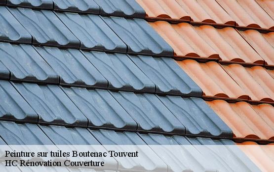 Peinture sur tuiles boutenac-touvent-17120 HC Rénovation Couverture-1