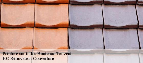Peinture sur tuiles boutenac-touvent-17120 HC Rénovation Couverture-4