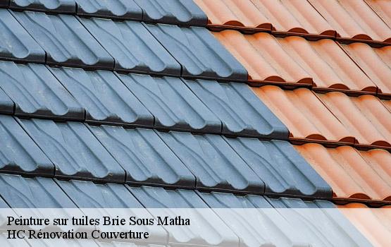 Peinture sur tuiles brie-sous-matha-17160 HC Rénovation Couverture-1