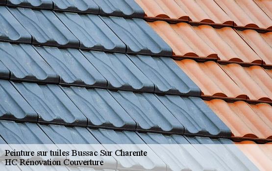 Peinture sur tuiles  bussac-sur-charente-17100 HC Rénovation Couverture-1
