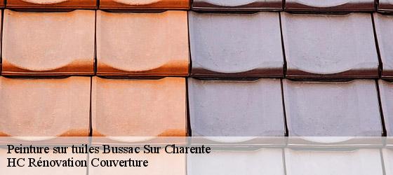 Peinture sur tuiles  bussac-sur-charente-17100 HC Rénovation Couverture-4