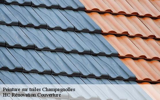 Peinture sur tuiles champagnolles-17240 HC Rénovation Couverture-1