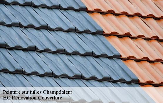 Peinture sur tuiles champdolent-17430 HC Rénovation Couverture-1