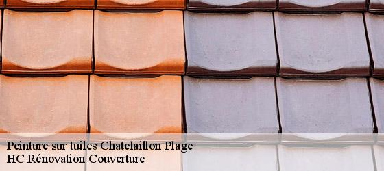 Peinture sur tuiles  chatelaillon-plage-17340 HC Rénovation Couverture-4