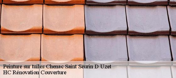 Peinture sur tuiles chenac-saint-seurin-d-uzet-17120 HC Rénovation Couverture-4