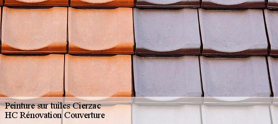 Peinture sur tuiles cierzac-17520 HC Rénovation Couverture-4