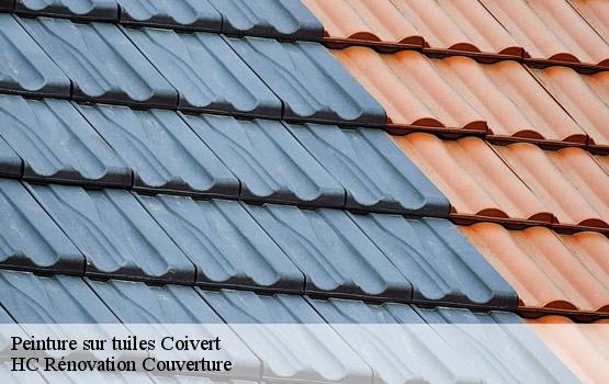 Peinture sur tuiles coivert-17330 HC Rénovation Couverture-1