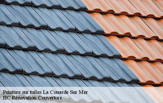 Peinture sur tuiles la-couarde-sur-mer-17670 HC Rénovation Couverture-1