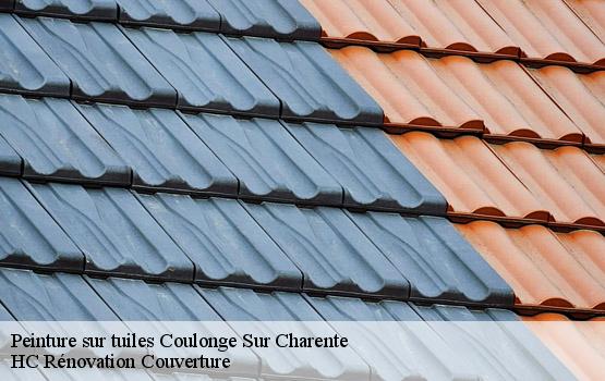 Peinture sur tuiles coulonge-sur-charente-17350 HC Rénovation Couverture-1