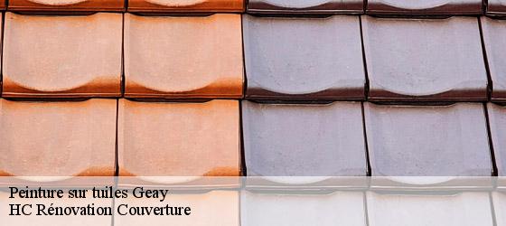 Peinture sur tuiles  geay-17250 HC Rénovation Couverture-4
