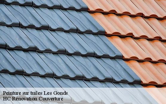 Peinture sur tuiles les-gonds-17100 HC Rénovation Couverture-1