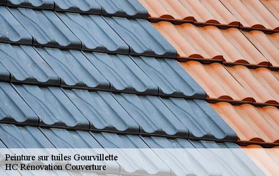 Peinture sur tuiles gourvillette-17490 HC Rénovation Couverture-1