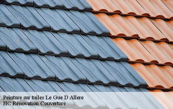 Peinture sur tuiles le-gue-d-allere-17540 HC Rénovation Couverture-1