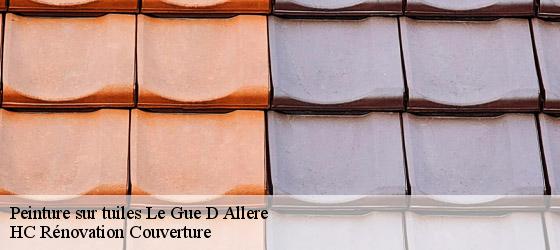 Peinture sur tuiles le-gue-d-allere-17540 HC Rénovation Couverture-4