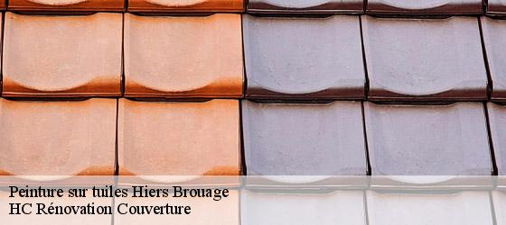 Peinture sur tuiles hiers-brouage-17320 HC Rénovation Couverture-4