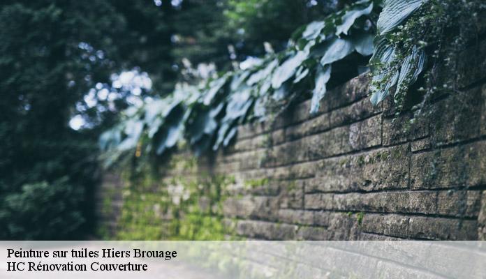 Peinture sur tuiles hiers-brouage-17320 HC Rénovation Couverture-7