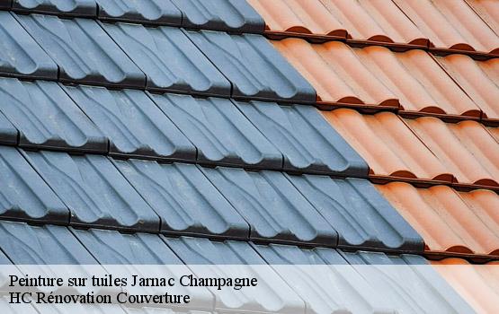 Peinture sur tuiles jarnac-champagne-17520 HC Rénovation Couverture-1