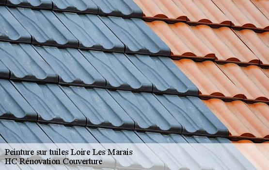 Peinture sur tuiles loire-les-marais-17870 HC Rénovation Couverture-1