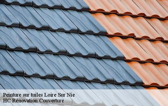 Peinture sur tuiles loire-sur-nie-17470 HC Rénovation Couverture-1
