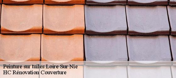 Peinture sur tuiles loire-sur-nie-17470 HC Rénovation Couverture-4
