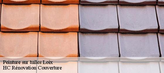 Peinture sur tuiles loix-17111 HC Rénovation Couverture-4