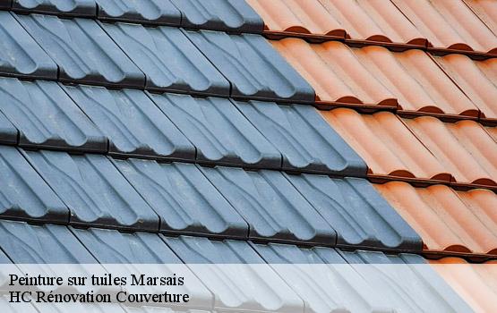 Peinture sur tuiles marsais-17700 HC Rénovation Couverture-1