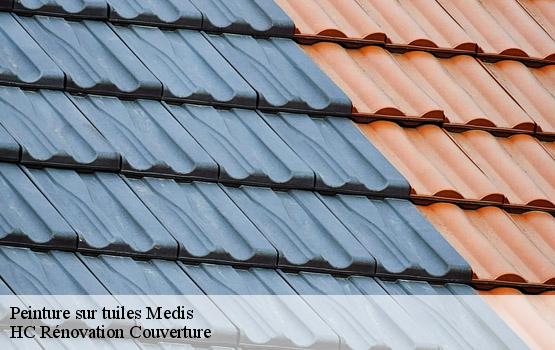 Peinture sur tuiles  medis-17600 HC Rénovation Couverture-1