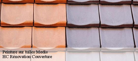 Peinture sur tuiles  medis-17600 HC Rénovation Couverture-4