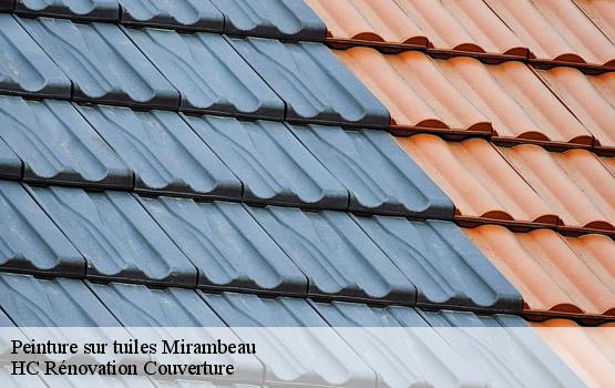 Peinture sur tuiles  mirambeau-17150 HC Rénovation Couverture-1