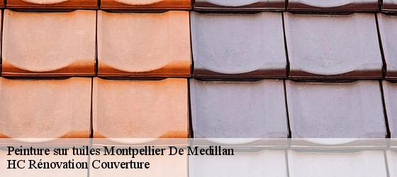 Peinture sur tuiles montpellier-de-medillan-17260 HC Rénovation Couverture-4