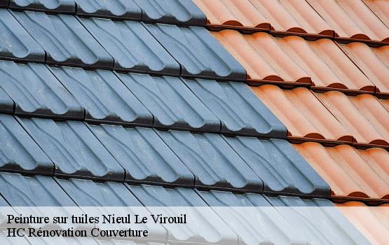 Peinture sur tuiles  nieul-le-virouil-17150 HC Rénovation Couverture-1