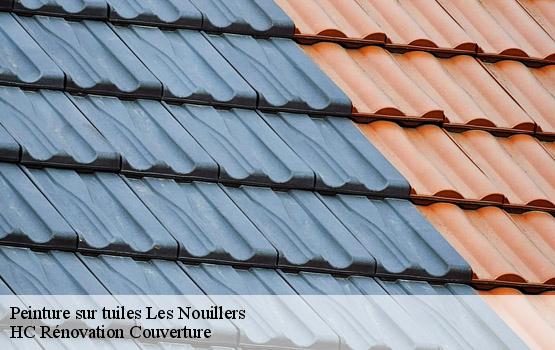 Peinture sur tuiles les-nouillers-17380 HC Rénovation Couverture-1