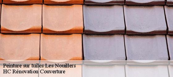 Peinture sur tuiles les-nouillers-17380 HC Rénovation Couverture-4