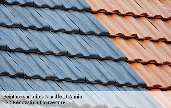 Peinture sur tuiles nuaille-d-aunis-17540 HC Rénovation Couverture-1