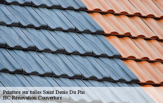 Peinture sur tuiles saint-denis-du-pin-17400 HC Rénovation Couverture-1