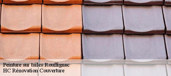 Peinture sur tuiles  rouffignac-17130 HC Rénovation Couverture-4