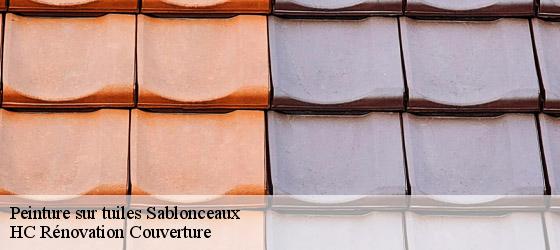 Peinture sur tuiles sablonceaux-17600 HC Rénovation Couverture-4
