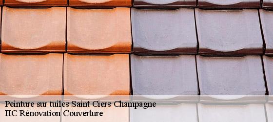 Peinture sur tuiles saint-ciers-champagne-17520 HC Rénovation Couverture-4