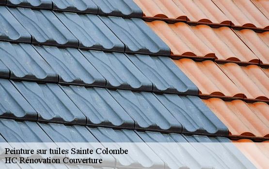 Peinture sur tuiles sainte-colombe-17210 HC Rénovation Couverture-1