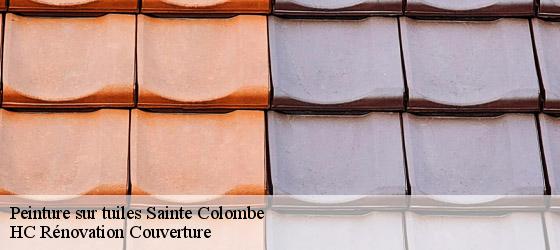Peinture sur tuiles sainte-colombe-17210 HC Rénovation Couverture-4