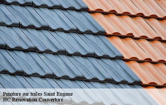 Peinture sur tuiles saint-eugene-17520 HC Rénovation Couverture-1