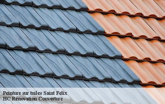 Peinture sur tuiles saint-felix-17330 HC Rénovation Couverture-1